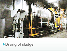 Drying of sludge