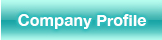 Company profile
