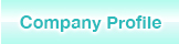 Company profile