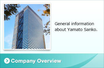 Company Overview