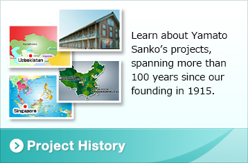 Project History