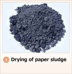 Drying of paper sludge