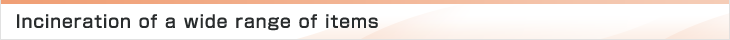 Incineration of a wide range of items