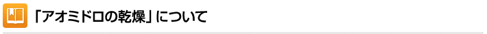 「アオミドロの乾燥」について