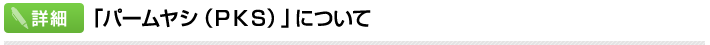 「パームヤシ（ＰＫＳ）」について