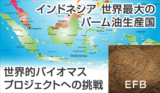 世界的バイオマスプロジェクトへの挑戦