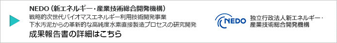 NEDO（新エネルギー・産業技術総合開発機構）戦略的次世代バイオマスエネルギー利用技術開発事業。下水汚泥からの革新的な高純度水素直接製造プロセスの研究開発。成果報告書の詳細はこちら。NEDO　独立行政法人エネルギー・産業技術総合開発機構。